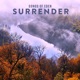 Surrender Single