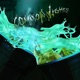 Common Nights EP