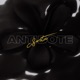 Antidote Single