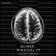 Mindfool Single