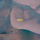 Underwater Single
