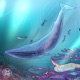 Deepwater Whales Single