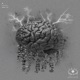 Cognition Single