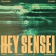 Hey Sensei feat SHACHI u hiGirl EP