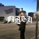 Flash Single