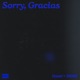 Sorry Gracias Slowed Reverb Single