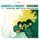 Carrots Friends feat Francisco Nixon Paco Loco Sidonie The Pinker Tones EP