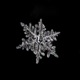 First Snowflakes Single