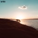 Dreamy Morning Single