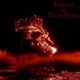 Boulevard of Broken Dreams Single