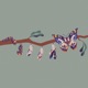 Metamorphosis Single