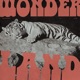 Wonderland Single
