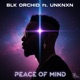 Peace of Mind feat UNKNXN Single