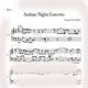 Arabian Nights Concerto Single