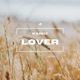 Lover Single