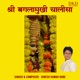 Shree Baglamukhi Chalisa Single