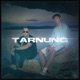 Tarnung Single