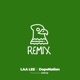 Bird Remix Single