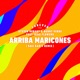 Arriba Maricones feat Sagi Kariv Nina Flowers Sagi Kariv Remix Single