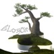Blossom feat mental Colton Single