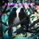 A Simplified You feat Grey We Bring Bass Single