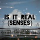 Is It Real Senses Single