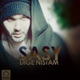 Dige Nistam Single