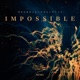 Impossible Remix Single