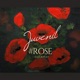 ROSE feat RIPLEY Single