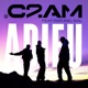 Adieu Single