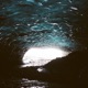 Zen Garden Single