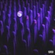 Dlouha Freestyle Single
