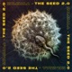 The Seed 2 0 Single