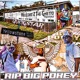 Welcome To the Ghetto Freestyle feat Yungstar RIP Big Pokey Single