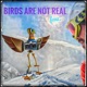 Birds Are Not Real Single