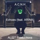 Echoes feat Arina Single