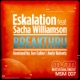Breakthru Remixes feat Sacha Williamson