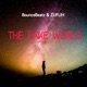 The Fake World Single