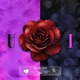 You I feat Linds Remix Single