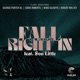 Fall Right In feat Son Little Nikki Glaspie Robert Walter Single