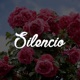 Silencio Single