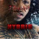 Hybrid