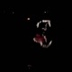 STARVE U RABID B3AST Single