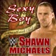 WWE Sexy Boy feat Shawn Michaels Single