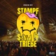 Stampf Triebe Single