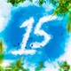 15 Single