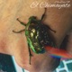 El Chimayate Son Single
