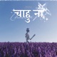 Chaahu Na Single