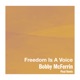 Freedom Is A Voice Pixal Remix Single