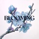 Blooming Remixes EP